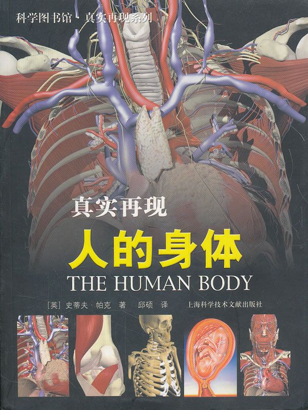 人的身体【上新】