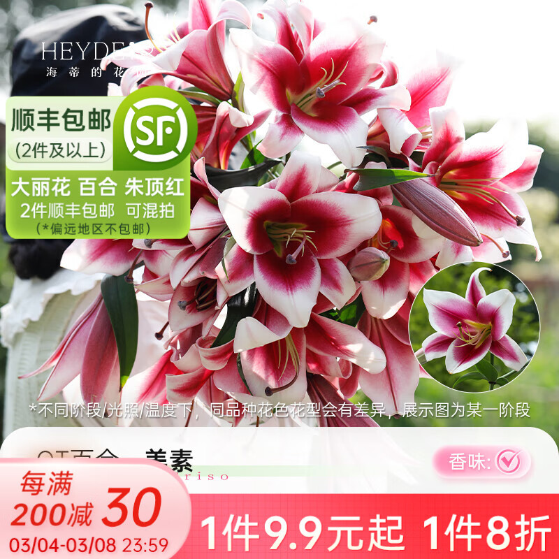 ���ٵĻ�԰�ٺ���������ذ���ˮ�л�Ʒ�����ֲ������� OT�ٺ�����16/18��3��װ) 12+