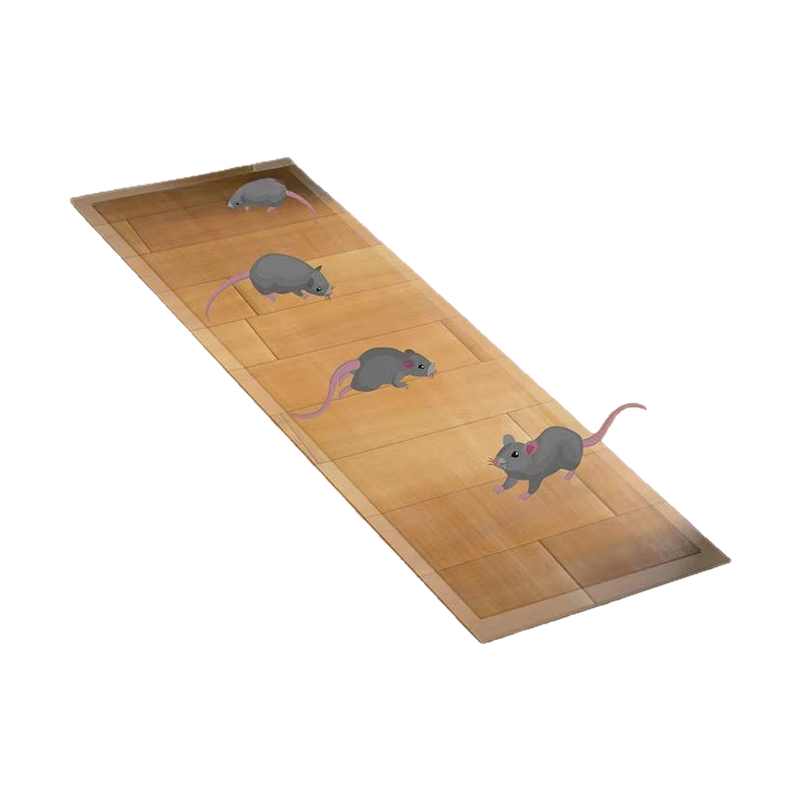 ǧ�ӻ�͸��ճ���������һ�Ѷ�����ǿ���Ӵ�մ��ץ��̺���������6��