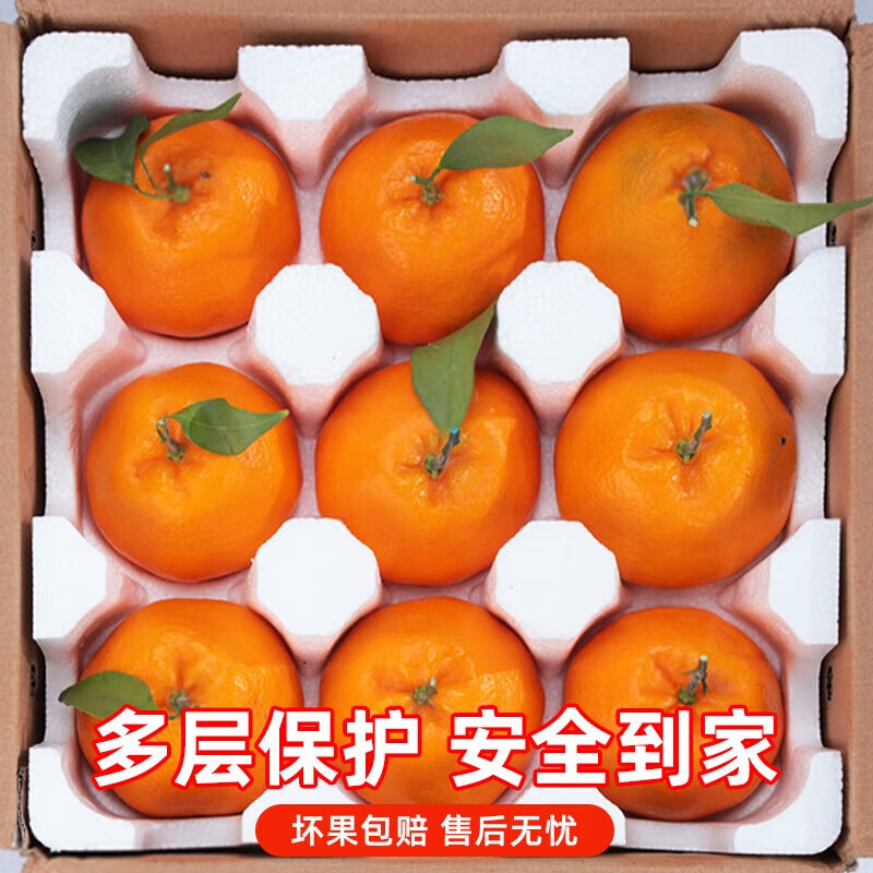 酷果汇四川春见耙耙柑粑粑柑桔橘子年货送礼盒当季彩箱新鲜水果直发 净重4.5斤-单果70MM+