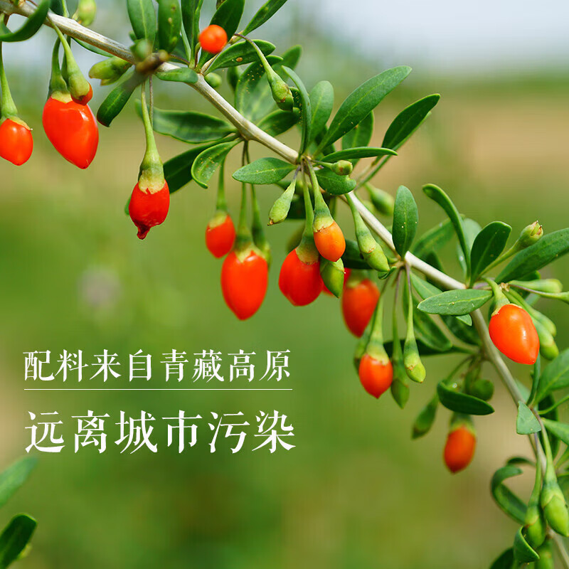 苏弥山青海特产鲜果鲜榨配料干净鲜榨纯原浆汁沙棘原液红黑枸杞礼盒 红枸杞原浆 900ml*1盒 (30ml*30袋)