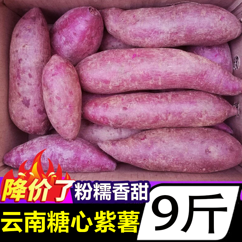 黄六爷云南糖心紫薯 净重9斤 大果