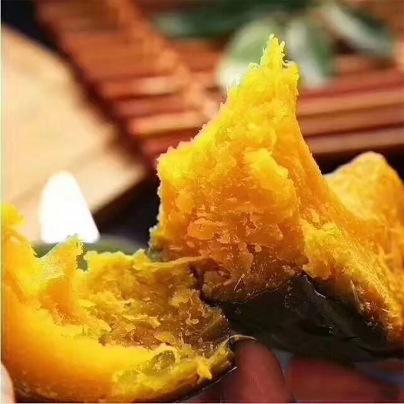 申果果新疆贵族板栗南瓜产地直发 丑金丝银栗老南瓜 新鲜板栗宝宝辅食 贵族南瓜 9斤 净重