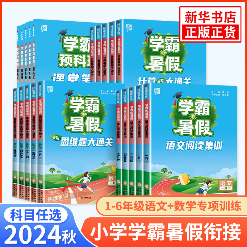 2024秋小学学霸学霸暑假衔接小学生暑假作业本一升二升三升四升五六语文阅读集训预科班课堂笔记数学计算思维 计算大通关-人教版 小学一年级