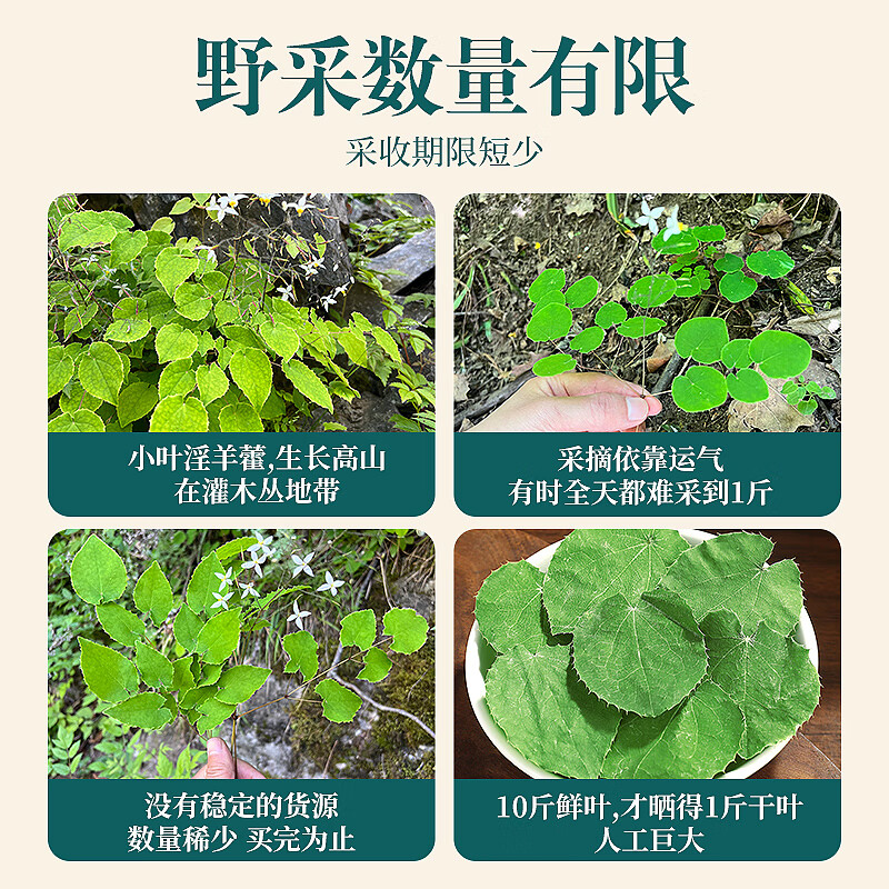 唯昱记 甘肃野生小圆叶淫羊藿 精选仙灵脾搭配山茱萸五味子泡水泡茶泡酒 阿拉善肉苁蓉鲜干片【锁鲜盒装】 190g*1盒