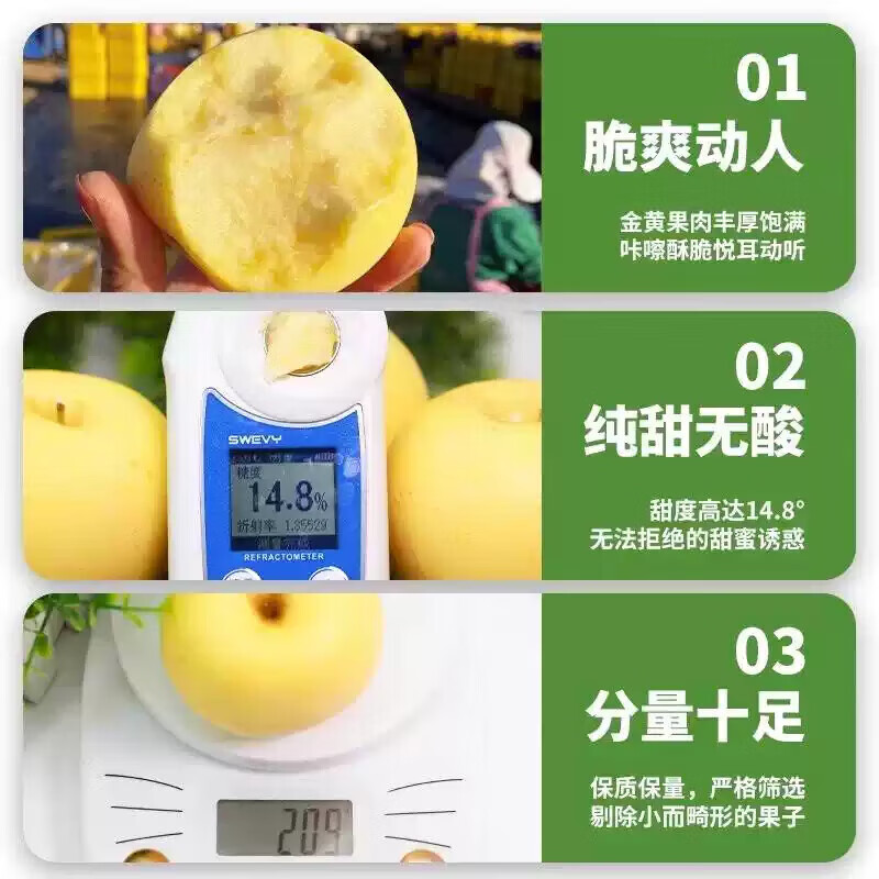 正宗山东维纳斯黄金苹果奶油水果苹果脆甜应季新鲜水果送人送礼 5斤家庭装【单果130g+】净4斤 绿色食品认证果园