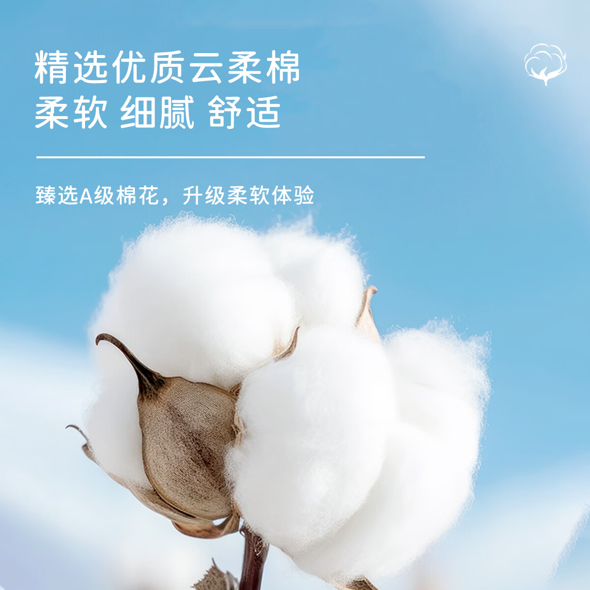 猫人（MiiOW）少女内裤女本命年红色发育期女生纯棉抗菌2025中大童三角裤 红色 4条 175 (2XL) 建议130-150斤