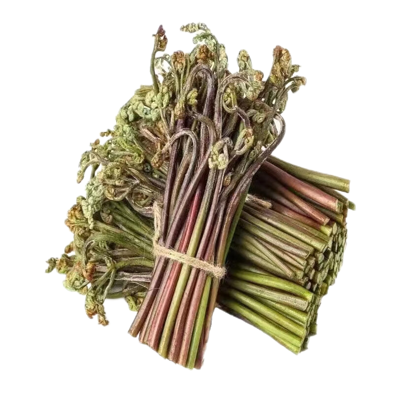 貴州新鮮蕨菜野生現(xiàn)摘甜蕨山野菜拳頭菜龍爪菜貓爪菜厥菜蕨苔 5斤（凈重）冰袋+泡沫箱發(fā)貨