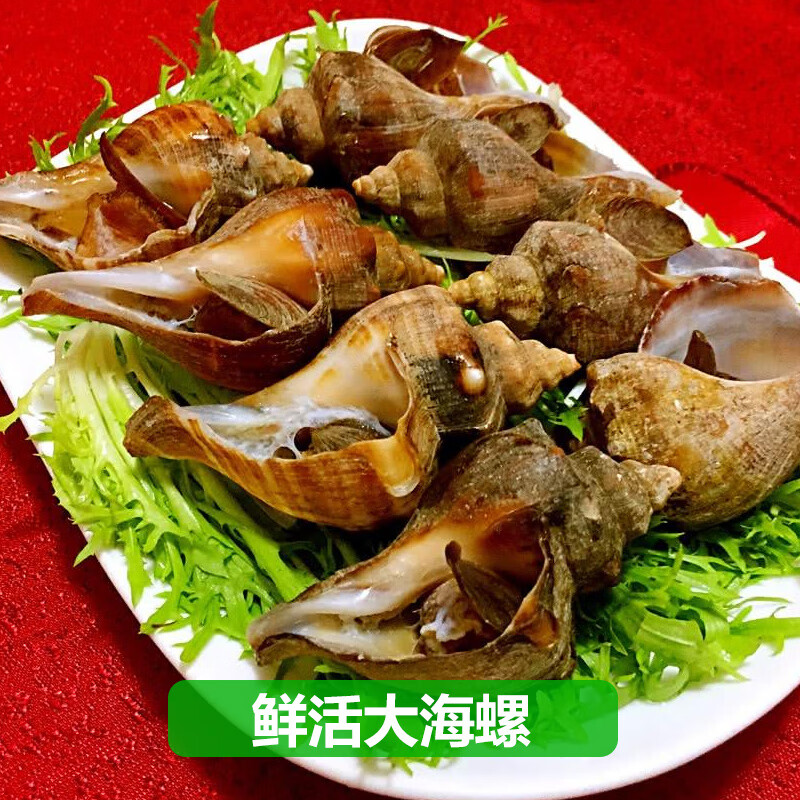 鹭珊岛【鲜活】海鲜礼盒鲜活大礼包年货送礼套餐团圆饭组合 海鲜大礼包 3988型6种11斤含鲜活龙虾/鲍鱼/珍宝蟹