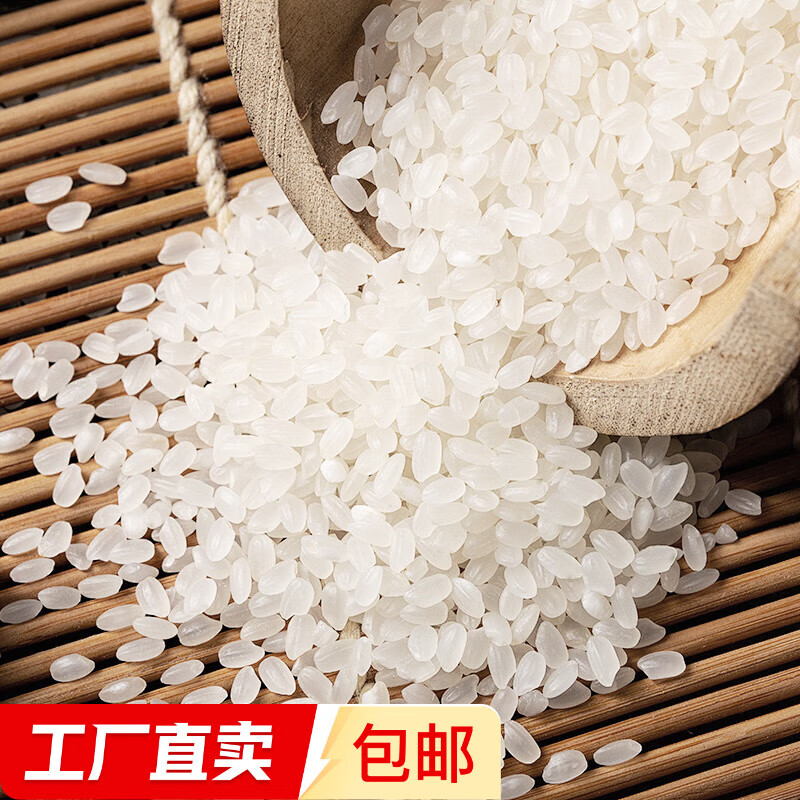 甄选2024新米正宗东北大米颗粒饱满【包装款式随机发货】 东北大米2斤