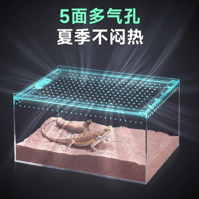 爬宠饲养盒透明亚克力一体免组装寄居蟹饲养缸蝎子蛇昆虫生态箱 小号磁吸开关10*8*7