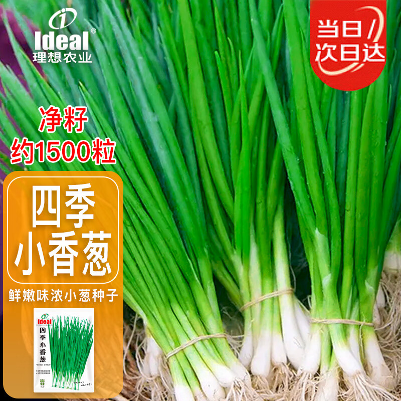 ldeal理想农业 四季小香葱种子阳台盆栽种植蔬菜种籽小葱种子 约1500粒
