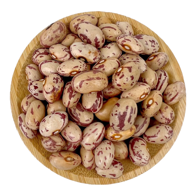 雀蛋豆子 奶花蕓豆 云南特產(chǎn)圓粒紅花孔雀豆芙蓉豆五谷雜糧奶花豆 雀蛋豆1000克