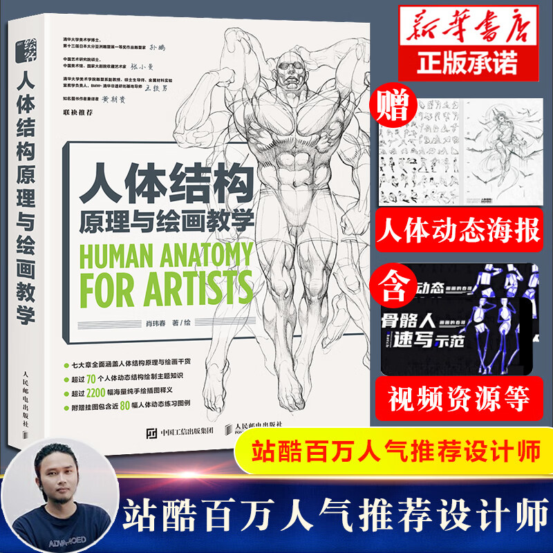 赠海报人体结构原理与绘画教学肖玮春 游戏动漫人体结构造型手绘技法人物绘画教程画画的春哥画画入门自学 书