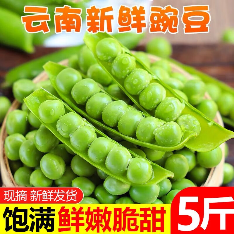 云南豌豆新鮮現(xiàn)摘帶殼青豌豆水果嫩甜豌豆莢應(yīng)季蔬菜批發(fā)5斤整箱 新鮮現(xiàn)摘帶殼豌豆1斤精選老品種