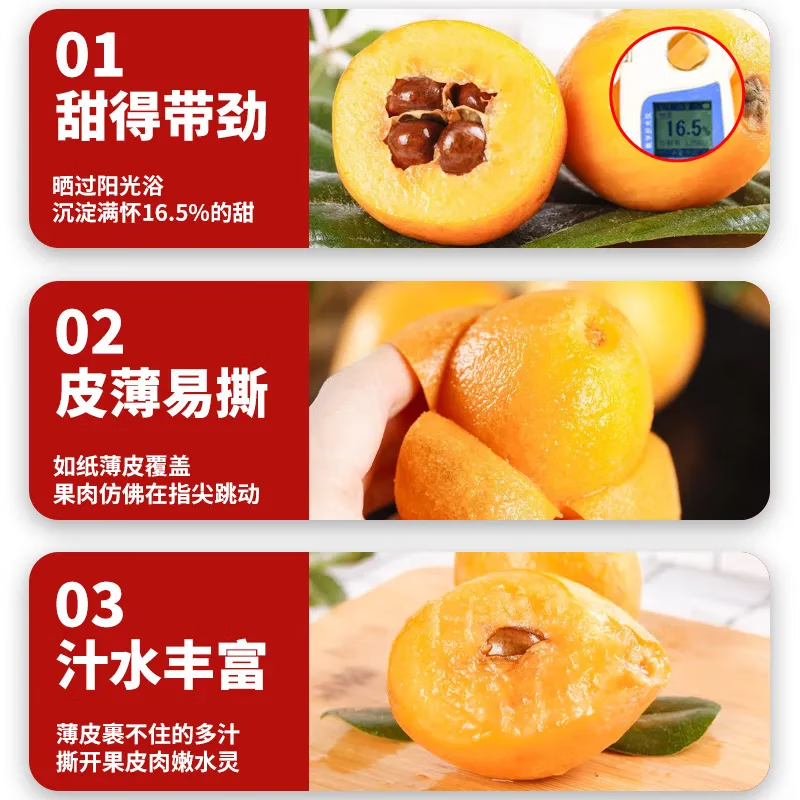 小筑倾橙【顺丰快递】四川米易枇杷新鲜琵琶枇杷果现摘孕妇水果年货整箱 3斤精选特大果【单果40-70g+】