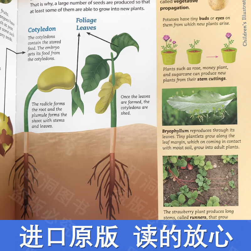 【可点读进口原版正品】儿童百科全书科普绘本 100事实系列套装 英文原版 儿童经典科普 4-10岁百科全书