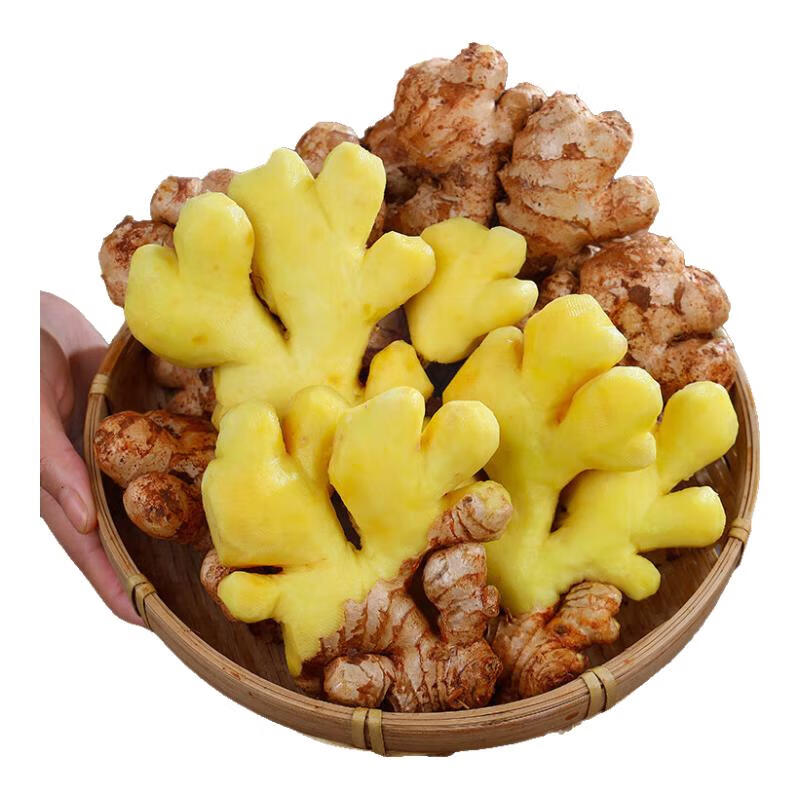 农多鲜云南小黄姜生姜香辣十足新鲜蔬菜现挖现发 小黄姜净重3斤