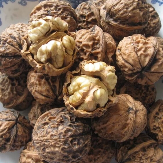 【2025新货抢先尝】云南新货薄壳孕妇农家散装丑核桃原味黑桃批发 云南老树薄壳核桃 5斤+夹子