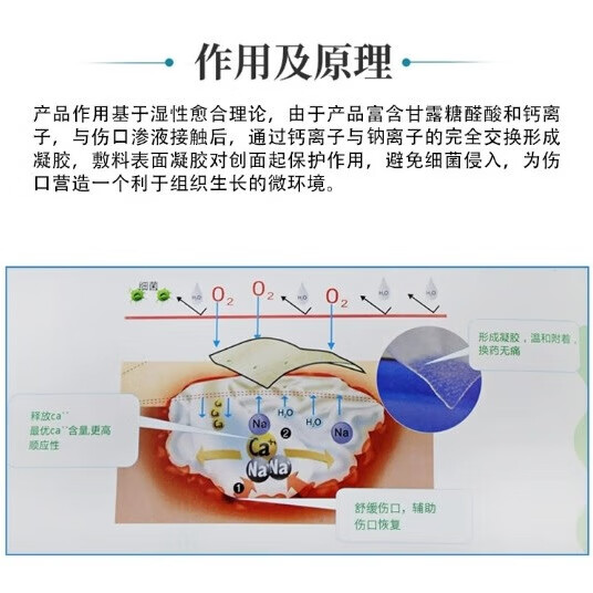 菩乐家藻酸盐敷料医用伤口褥疮压疮肛瘘空洞溃疡糖尿足窦道填充条吸渗液 藻酸盐1片