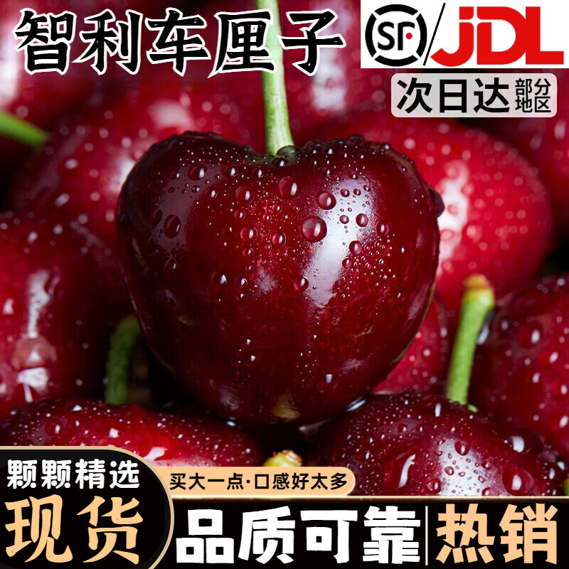 ڲݹӣ˳/JDشմڴӣҳӣˮ 450()  XL24-26mmװ ھƷ26.21Ԫ