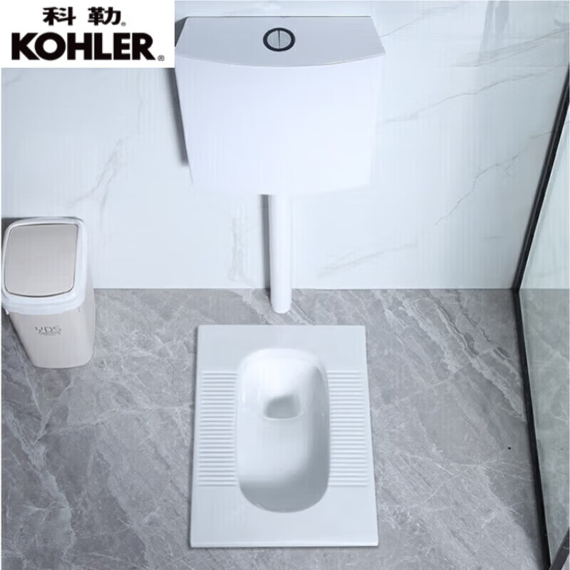 科勒（KOHLER）蹲便器水箱套装沉水弯防臭大便器智洁釉面节水静音家用蹲便池工程 B款蹲便器无弯前出水+水箱套装