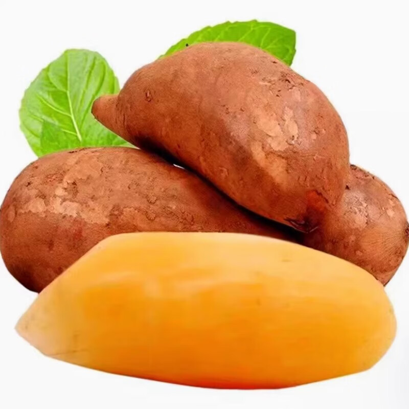 北森南屿云南雪莲果 新鲜水果应当季孕妇红心雪连果黄心 脆甜爽口 雪莲果3斤大果（单果约200g+）