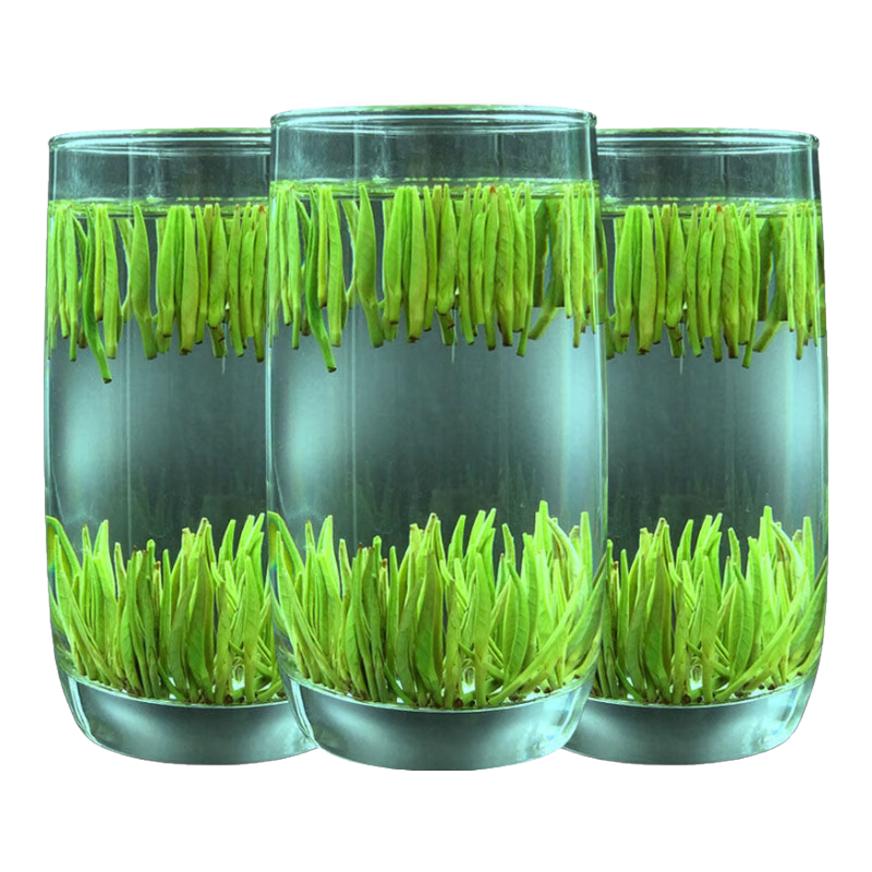 ����ȸ�� 2025�²�ͷ��ȸ���Ҷ��ǰ�ؼ��Ĵ���ɽ��ѿ�̲���ǰ�����ʹ��� ȸ���Ҷ 250g*1��