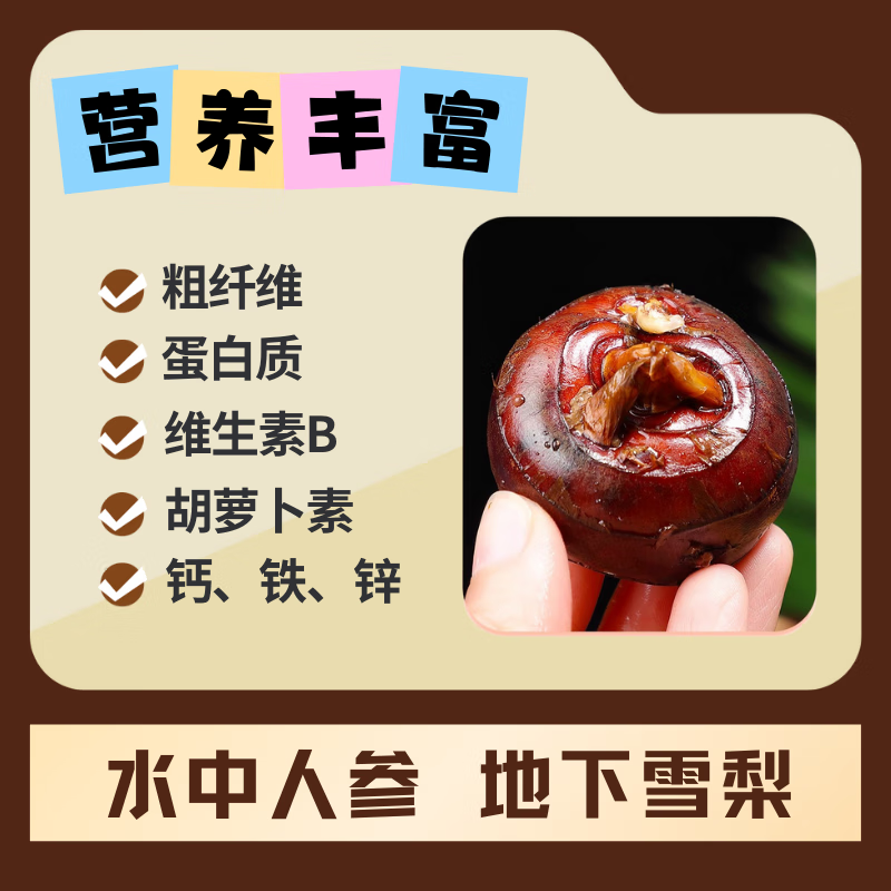 荔浦马蹄广西荸荠地梨脆甜多汁现挖带泥保鲜当季水果蔬菜 优质大果 净重5斤(100-115）