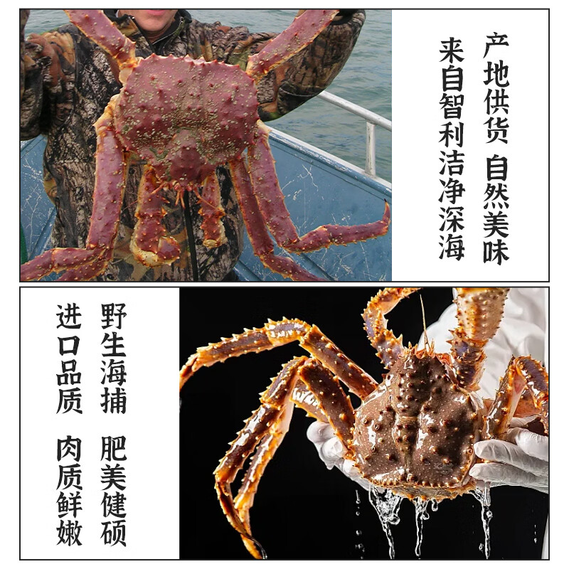 晶彩甜园智利进口鲜活熟冻帝王蟹海鲜帝皇蟹生鲜请客吃饭大餐高端食材整只2-2.2斤源头直发包邮