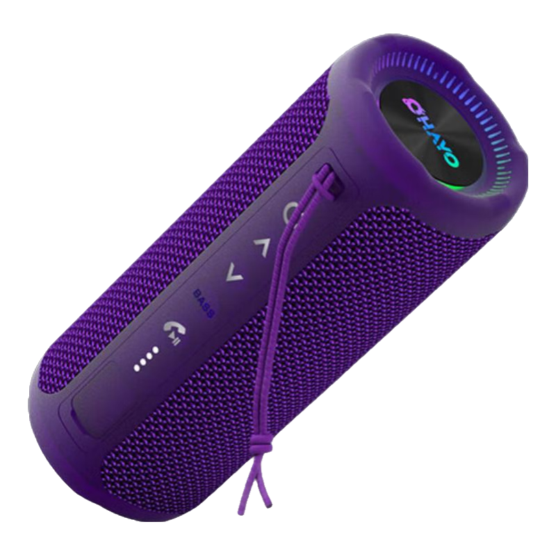 雷登(OHAYO)X10MAX無線便攜式藍牙音箱2025新款重低音炮大音量高音質(zhì)戶外迷你小型自行車騎行小音響防水音箱 2分頻【傳奇音質(zhì)】35W賽道揚聲器-紫 防塵防水+超長續(xù)航+16G卡