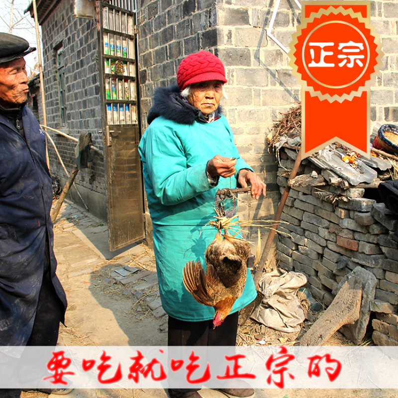 大郎哥正宗土鸡农家散养1.5-2年老母鸡苏北草鸡自养活鸡现杀月子鸡笨鸡