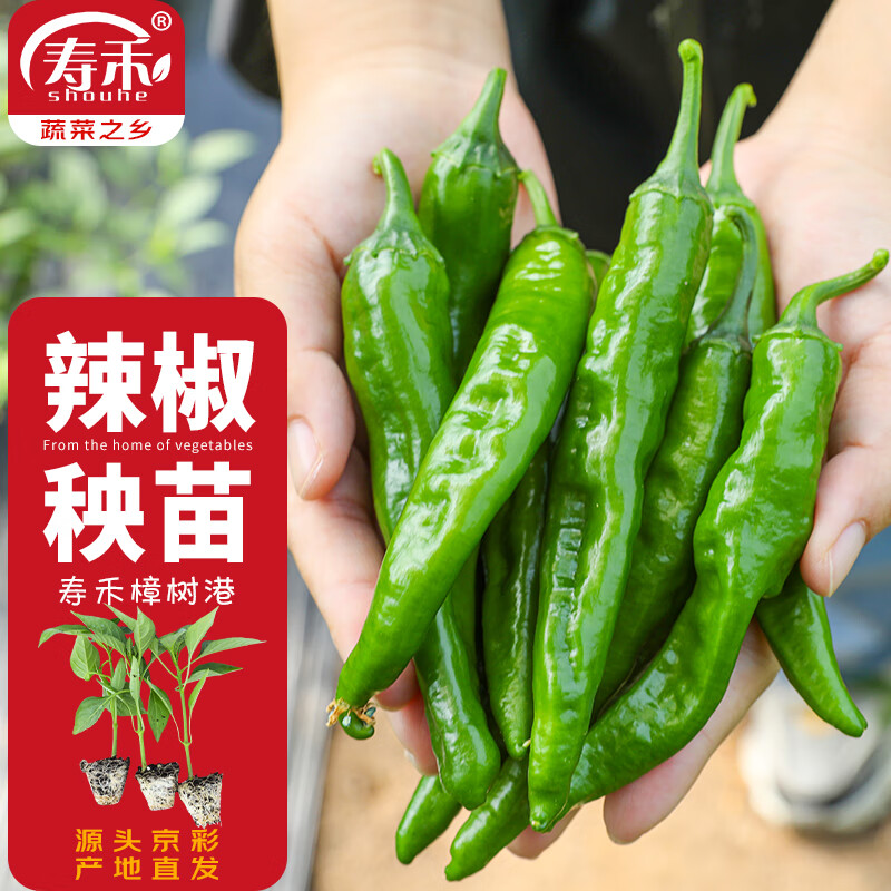 ũ��Ϋ�� �����������۴��������߲��� ������������+50g��Դͷֱ������ 24.71Ԫ