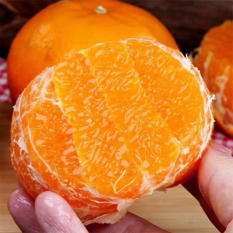 慧供广西武鸣沃柑超甜新鲜水果当季整箱现摘桔子甜柑橘子核心产区直发 9斤【单果55-60MM】