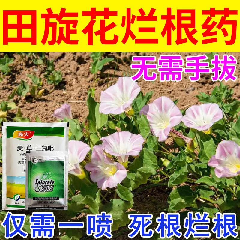 田旋花专杀除草剂牵牛花阔叶藤蔓芦苇杂草通用除草剂死根烂根型 【三