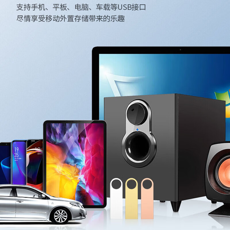 SomnAmbulist【精选】 U盘招投标企业个性金属旋转优盘2.0小容量专业投标专用 银色 16GB