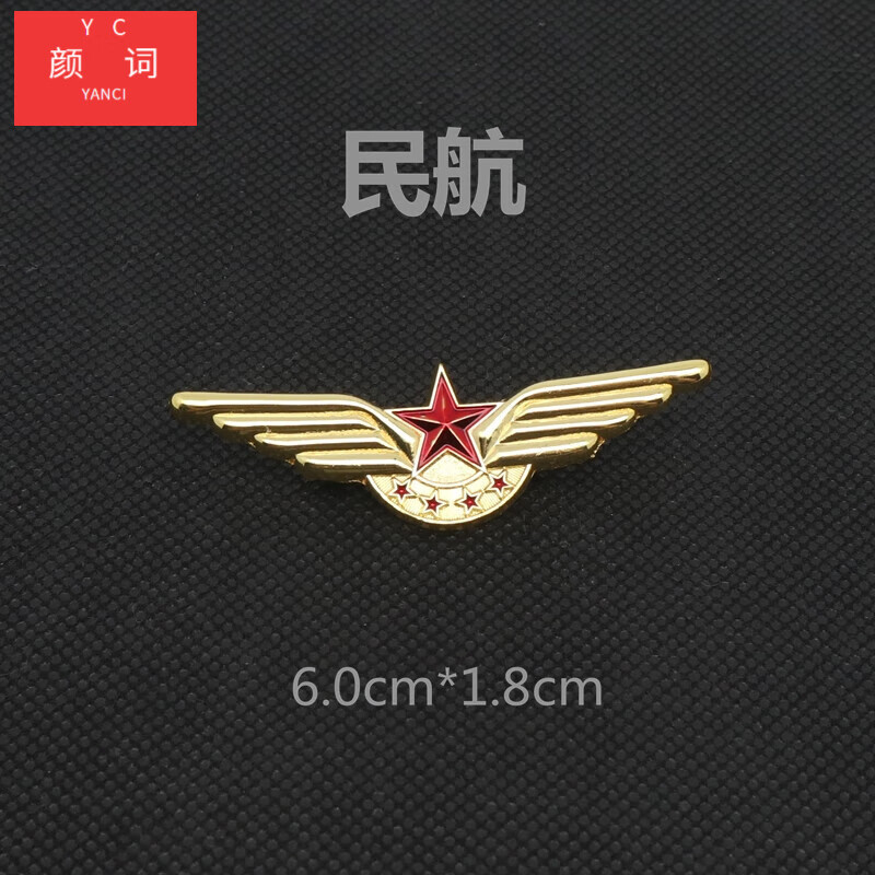 颜词航空飞行员金属徽章 空姐空乘翅膀胸章胸针国航海航南航民航别针