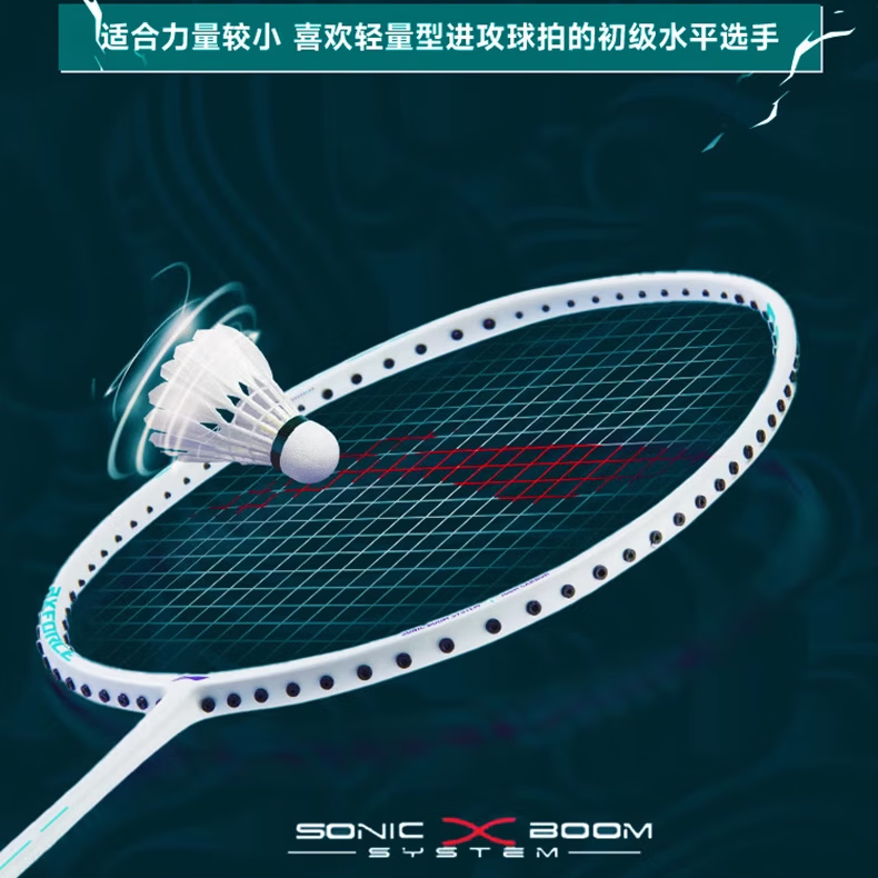 李宁(LI-NING)羽毛球拍雷霆60/80雷霆90龙拍虎拍碳纤维进攻-可免费拉线 雷霆10白色4UG5-送线送手胶