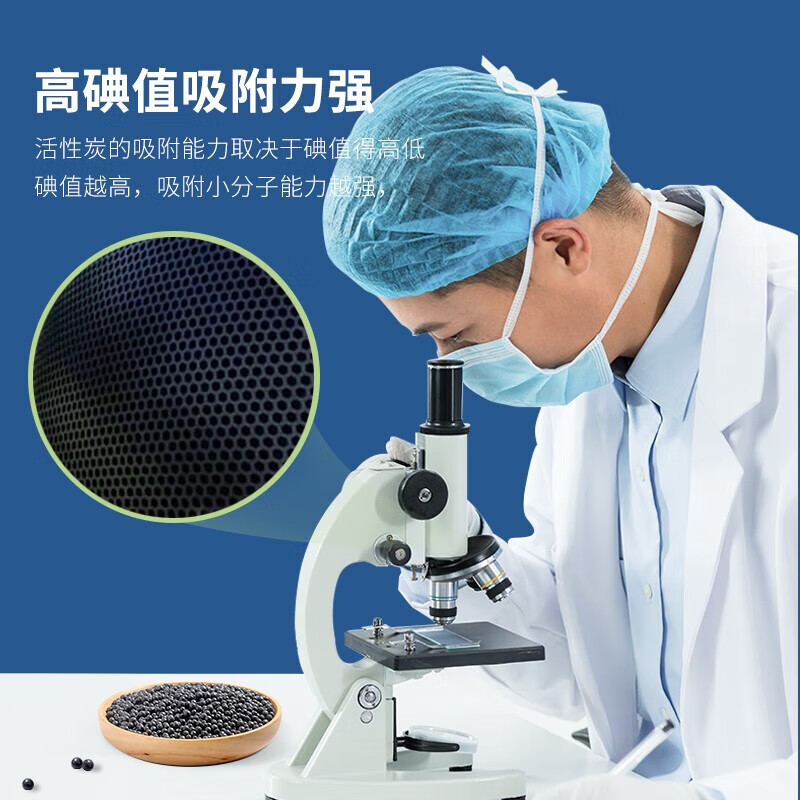 绿之源 活性炭除甲醛去甲醛新房家用天然椰壳非竹炭包新车除味 【1kg 10包】净化 10㎡-20㎡