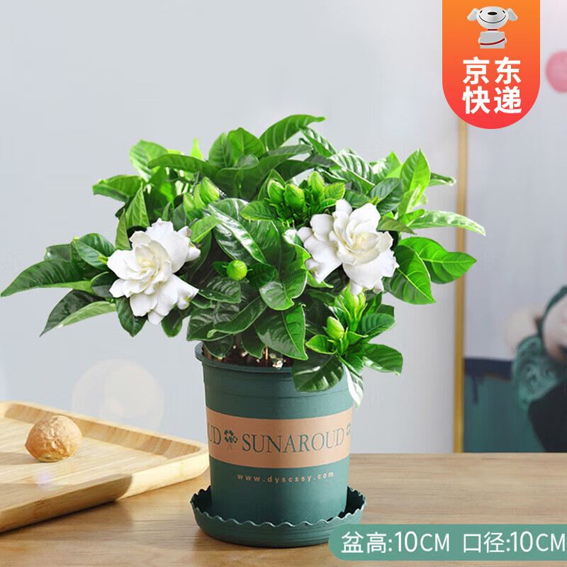 ��ʱ�� ���ӻ�����Ũ���ʹ��������� ��̨���ܺ�����ֲ��Դͷֱ������ �����衾90��#��������