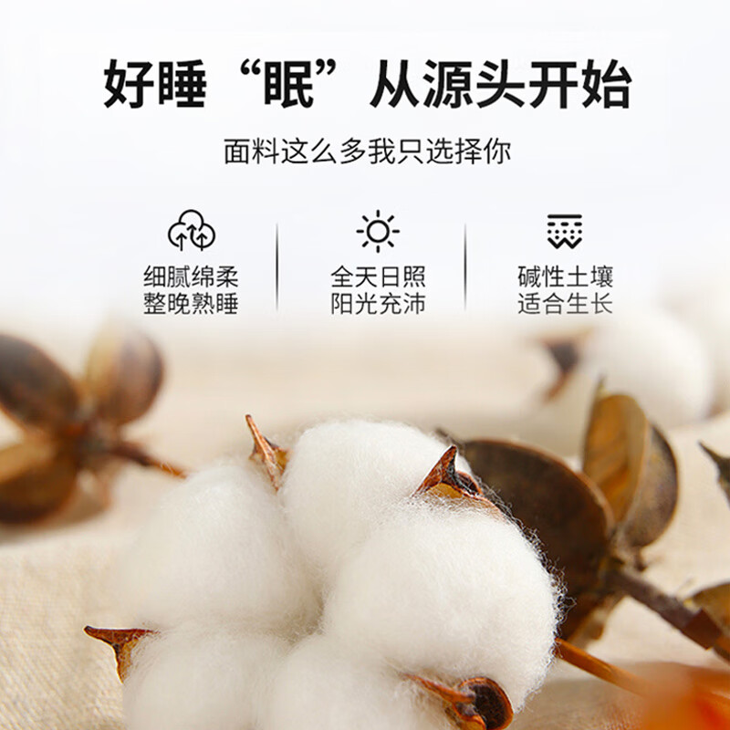 ELLE DECO长绒棉50支纯棉贡缎四件套全棉双人床上被套床单枕套件 50支 花漾 2.0m 床单款 (被套220*240cm)