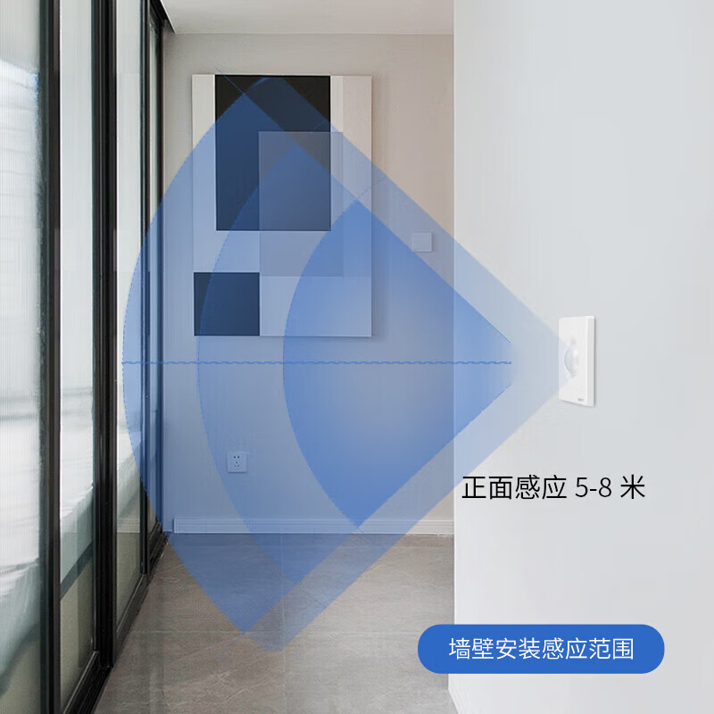 国际电工86型延时声光控人体感应开关LED灯高灵敏220v可调楼道走廊 86型暗装【声光控+人体感应】白