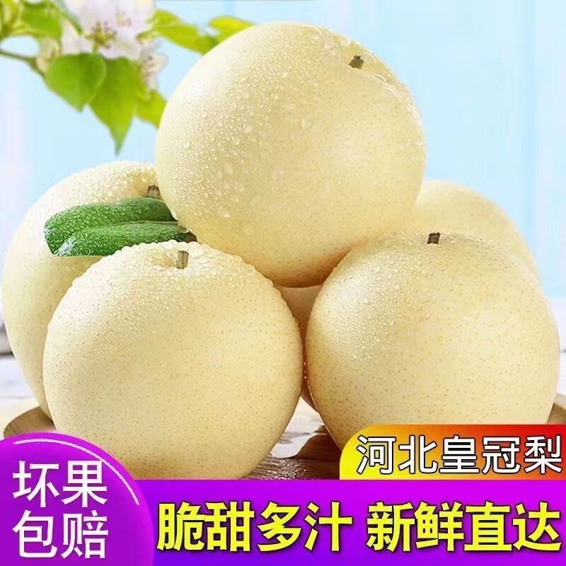 果迎鲜皇冠梨 河北皇冠梨 梨子 脆梨酥梨 新鲜水果 生鲜 4.5斤装
