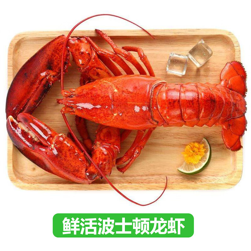 【鲜活】海鲜礼盒鲜活大礼包年货送礼套餐团圆饭组合 海鲜大礼包 2988型6种9斤含鲜活大龙虾/鲍鱼/珍宝蟹