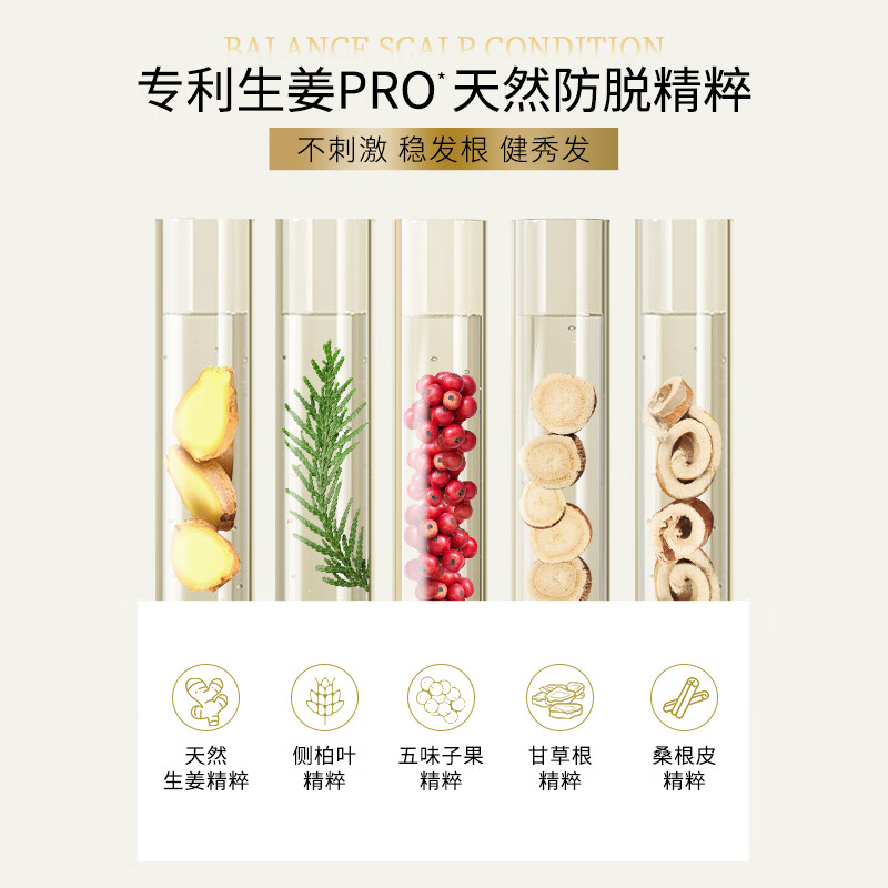 滋源控油去屑洗发水无患子清爽蓬松生姜防脱洗头膏男女士无硅油洗发露 防脱洗发水300g送400g