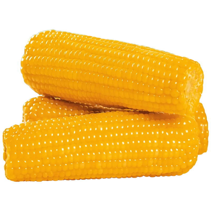 京鮮生東北黃糯玉米棒220g×8根 甜黏玉米 多種包裝隨機(jī)發(fā)貨 源頭直發(fā)