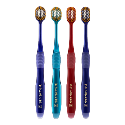 �ݰ�ʩ  65����ë2֧ 54�׳���ë 2֧