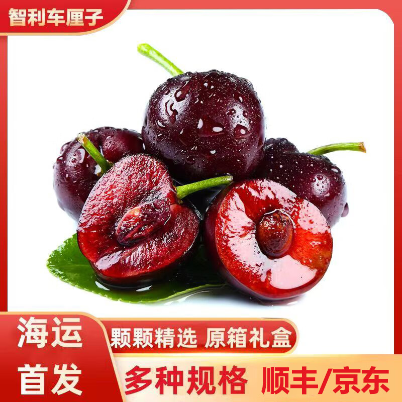 集南鲜 智利车厘子进口大樱桃【顺丰/JD速运-多地次日达】水果年货礼盒 5斤(净重) 甄选原箱礼盒 JJ级 