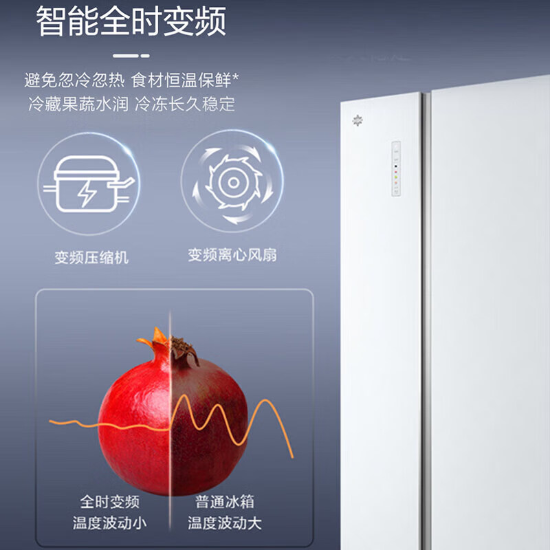 格力（GREE）晶弘冰箱600升对开-33℃深冻储鲜离子长效抗菌净味变频一级能效