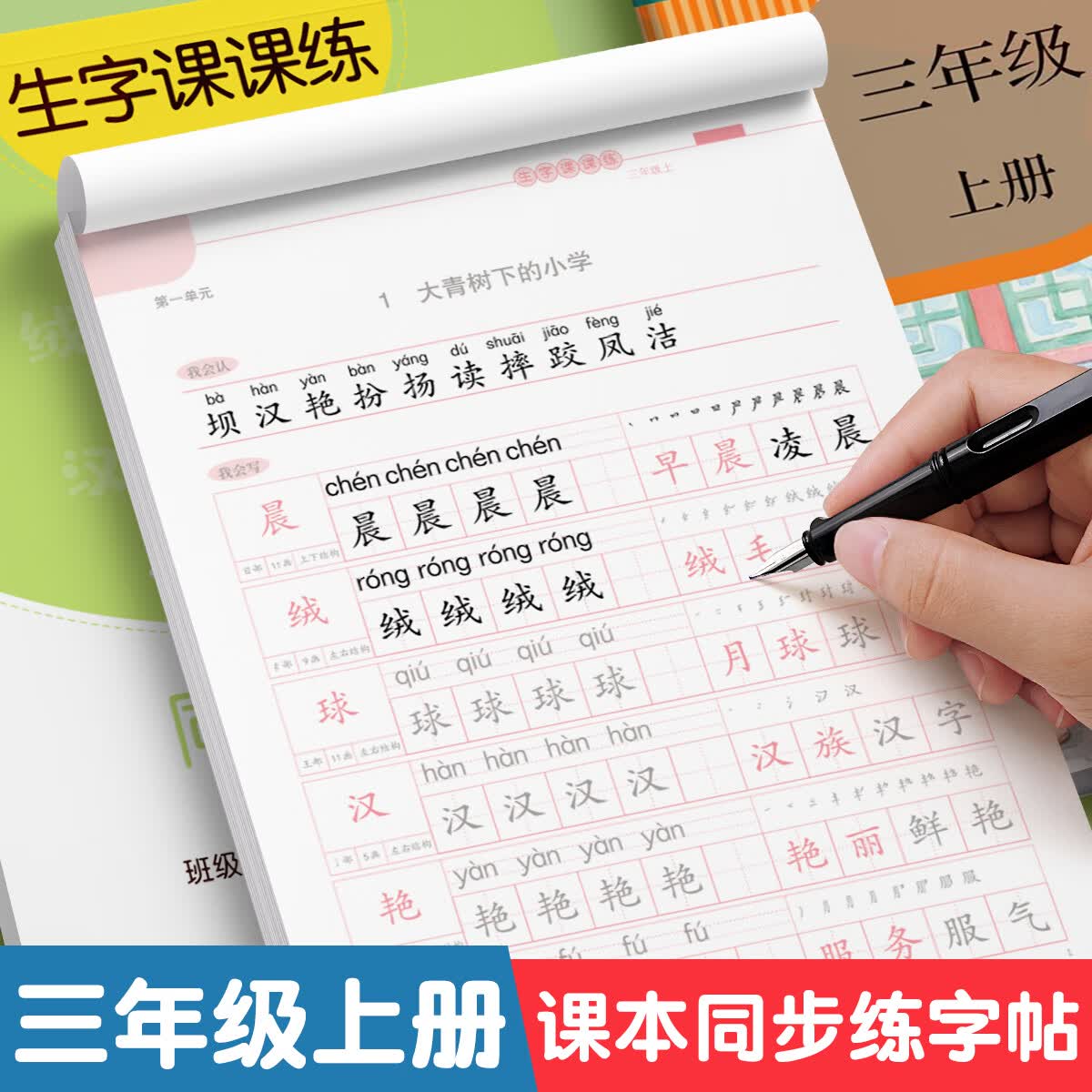 金枝叶三年级字帖上下册临摹练字帖小学生专用同步练字本语文人教版硬笔书法儿童楷书练习 三年级上册（共46页） 京东折扣/优惠券